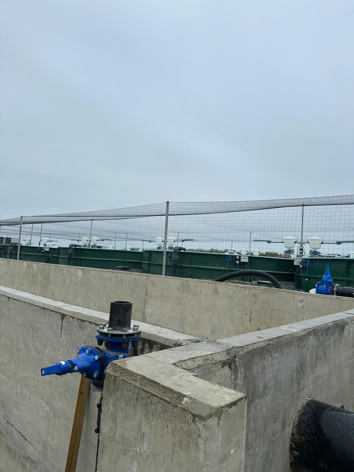 Bird Mesh On Rooftop