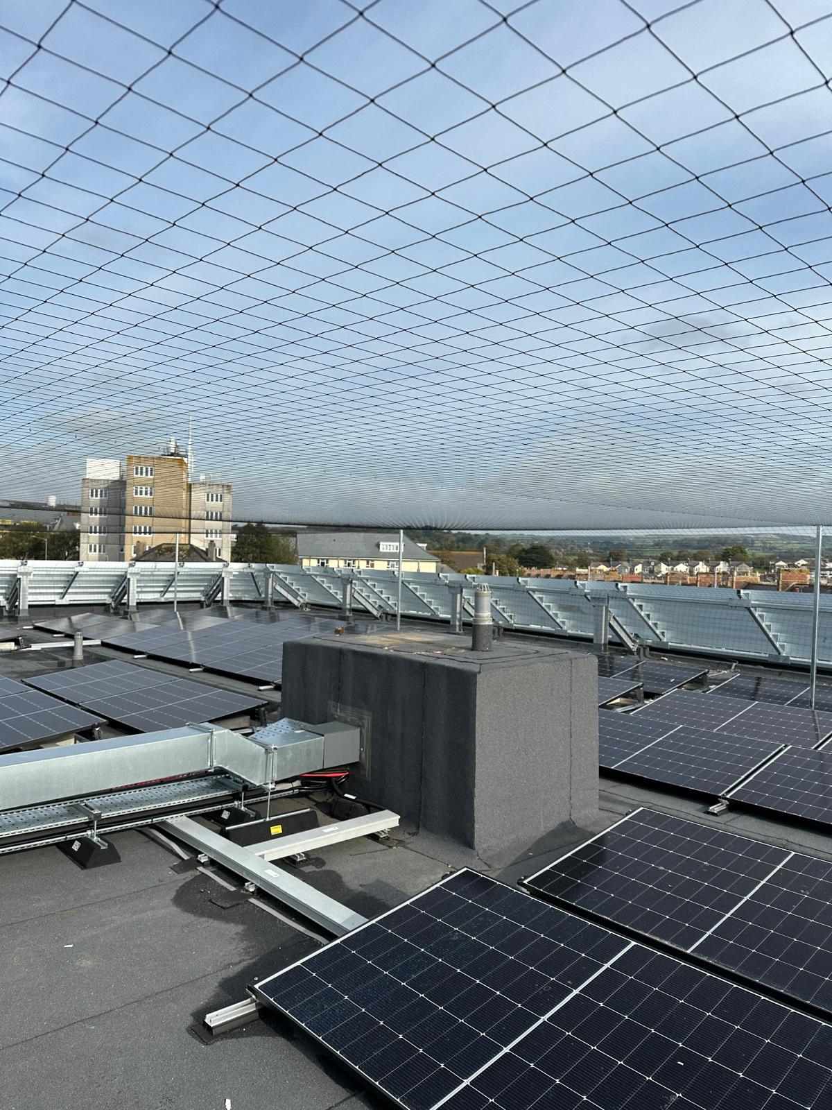 Bird Mesh On Solar Rooftop Bird Mesh On Solar Rooftop