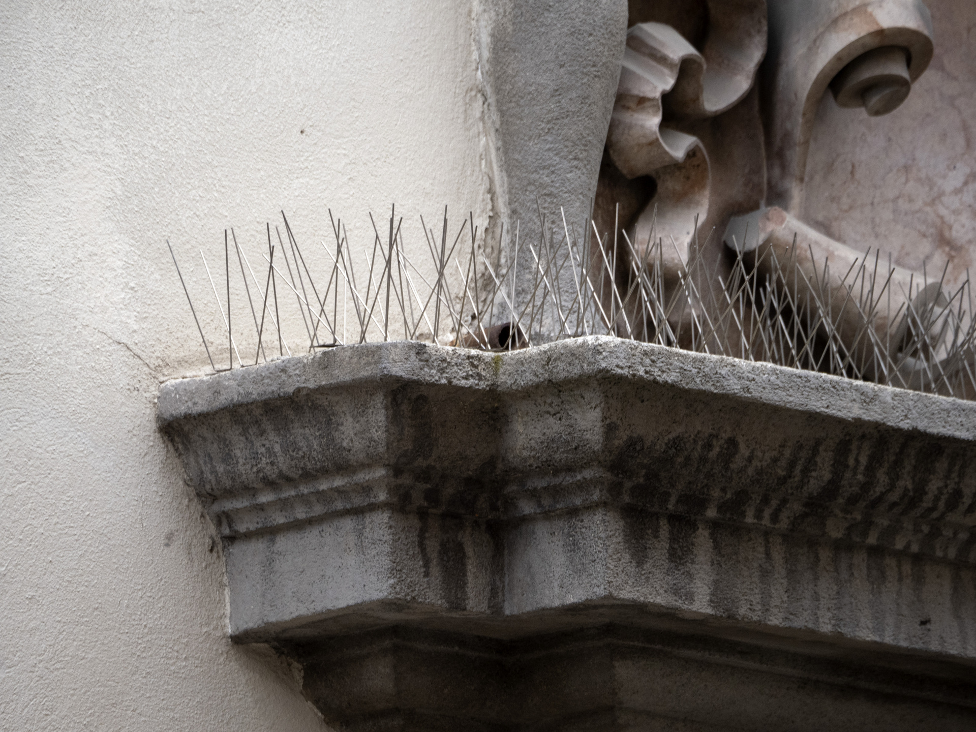 Bird Spikes on Commercial Building Bird Spikes on Commercial Building