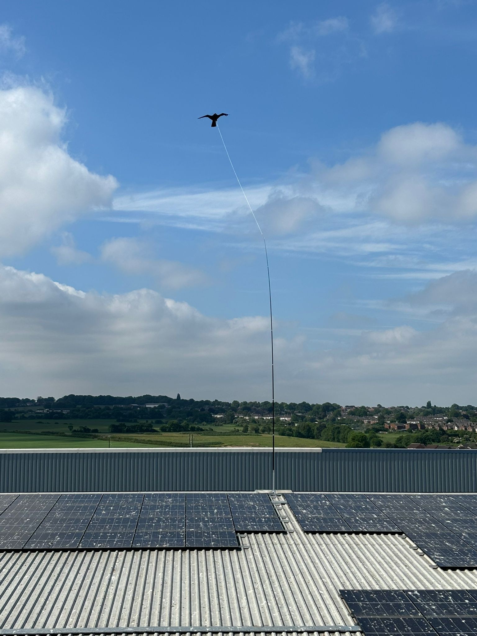 Hawk Kite Environment