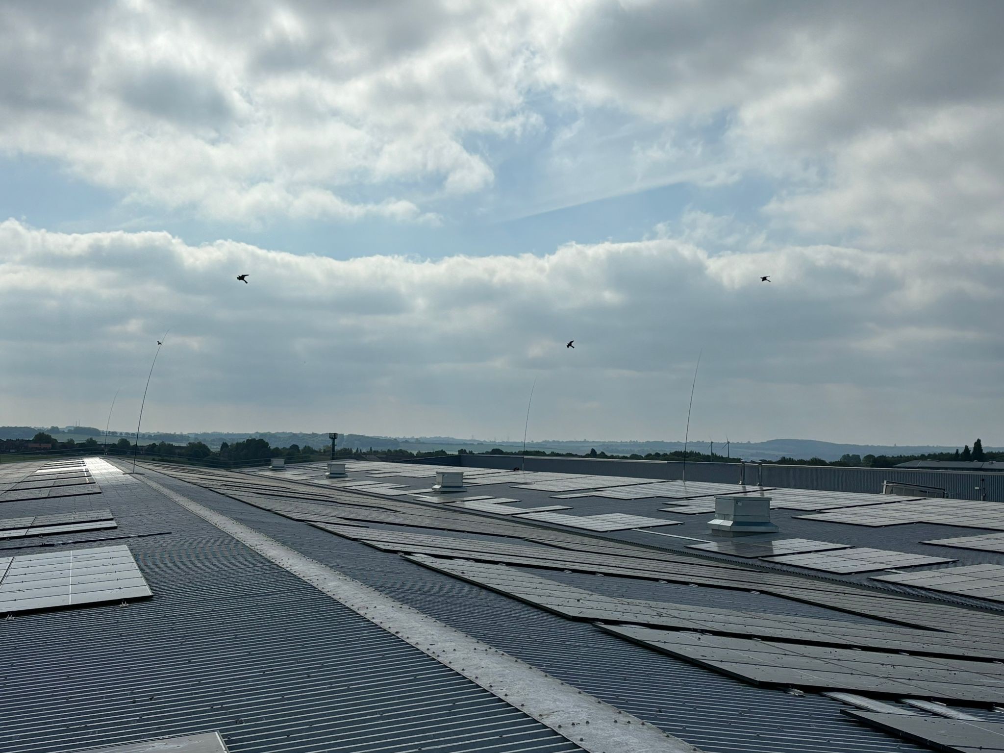 Solar Panel Bird Protection