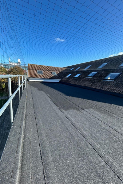 School in South London 2