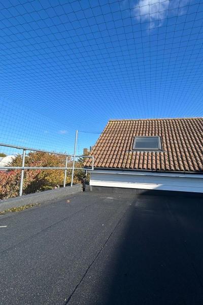 School in South London 3