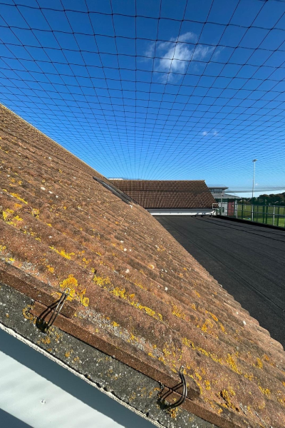 School in South London 4