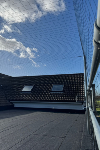 School in South London 7