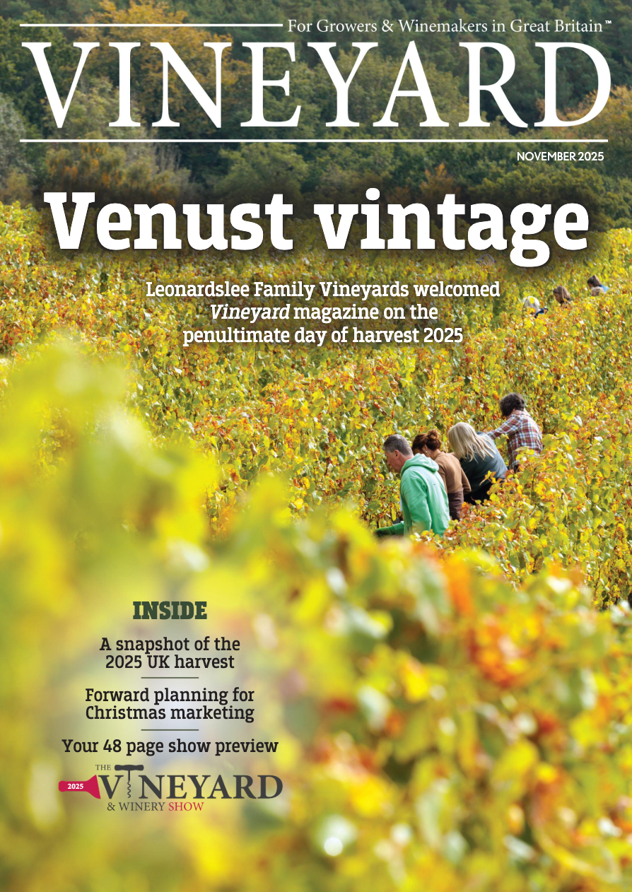 Screenshot 2025-10-26 at 21.08.43