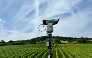 Avix Autonomic laser bird deterrent protecting Guildford vineyard grapes from wood pigeon damage