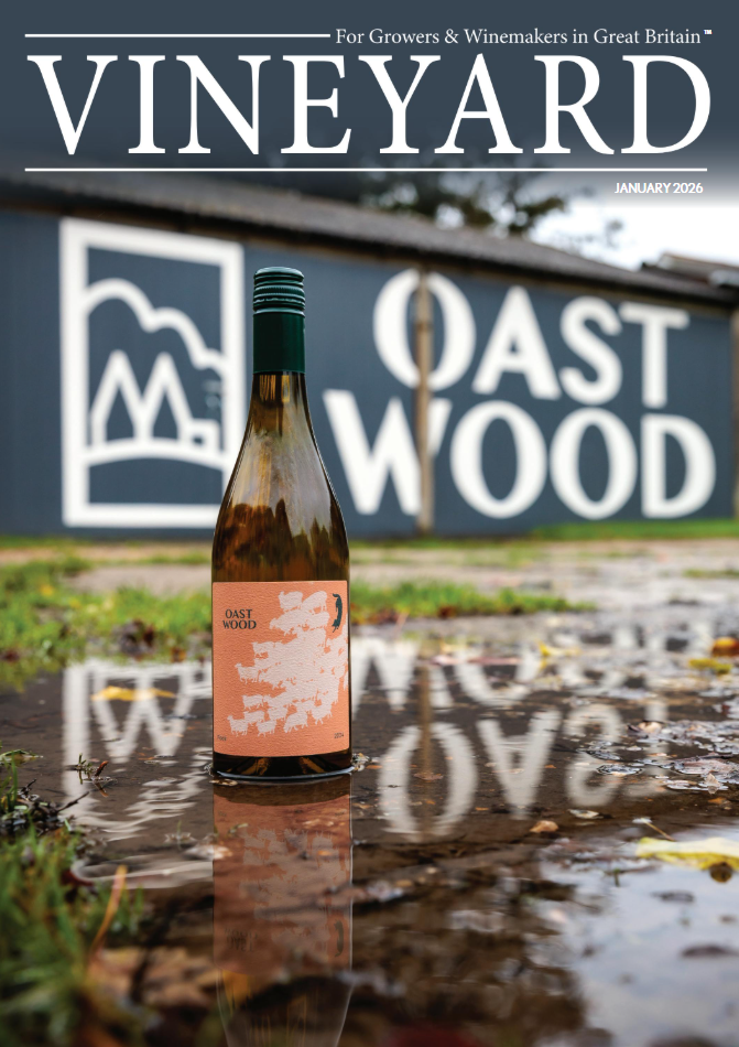 Vineyard Magazine Jan 2026